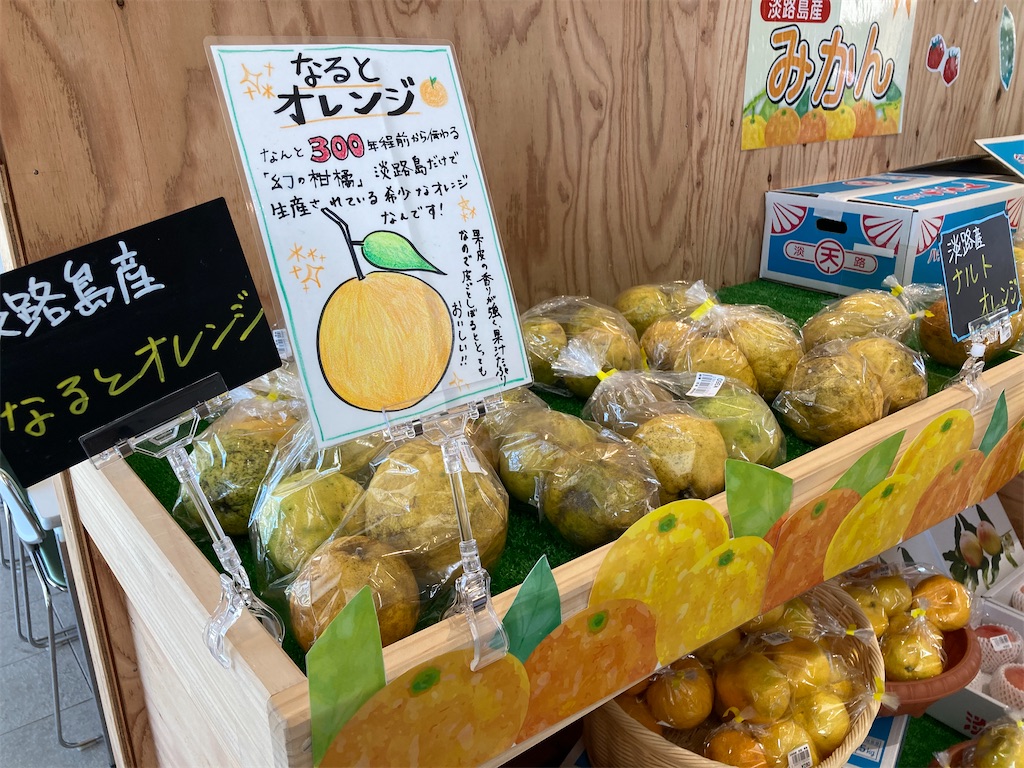 f:id:michiko_0609:20240804140448j:image