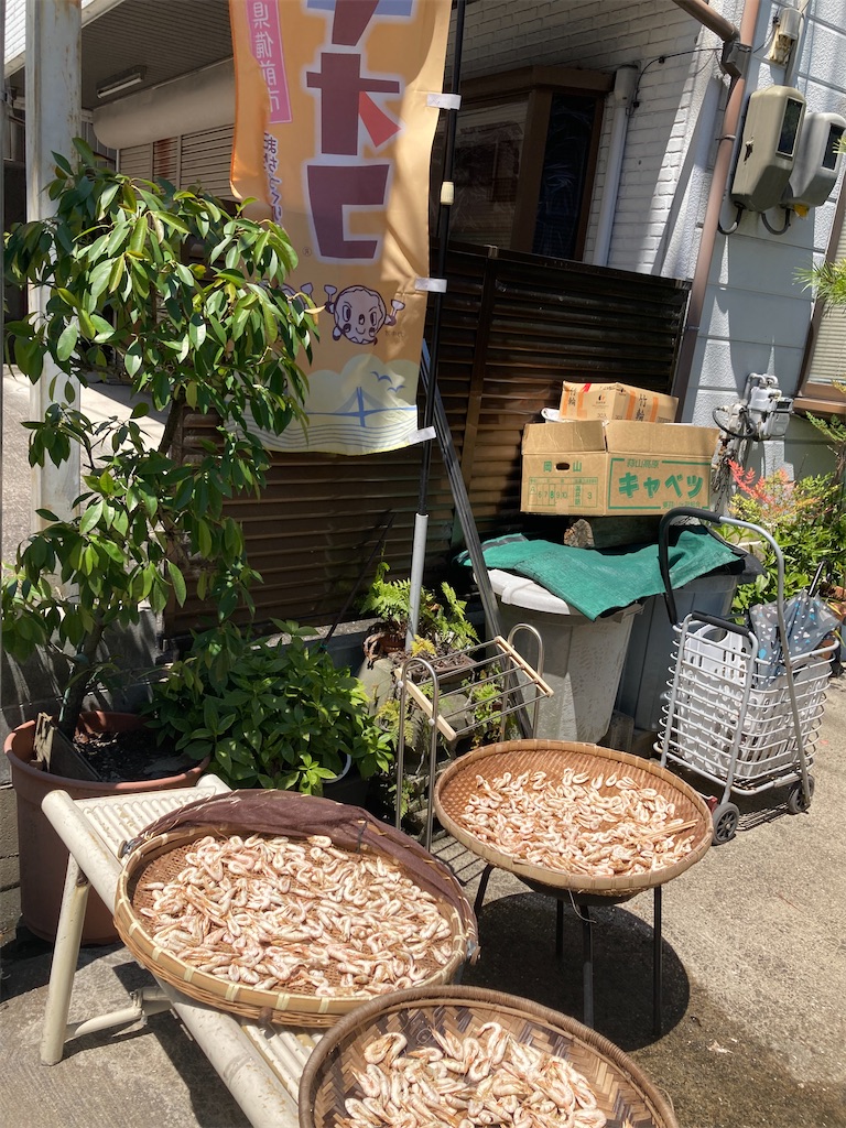 f:id:michiko_0609:20240811110754j:image