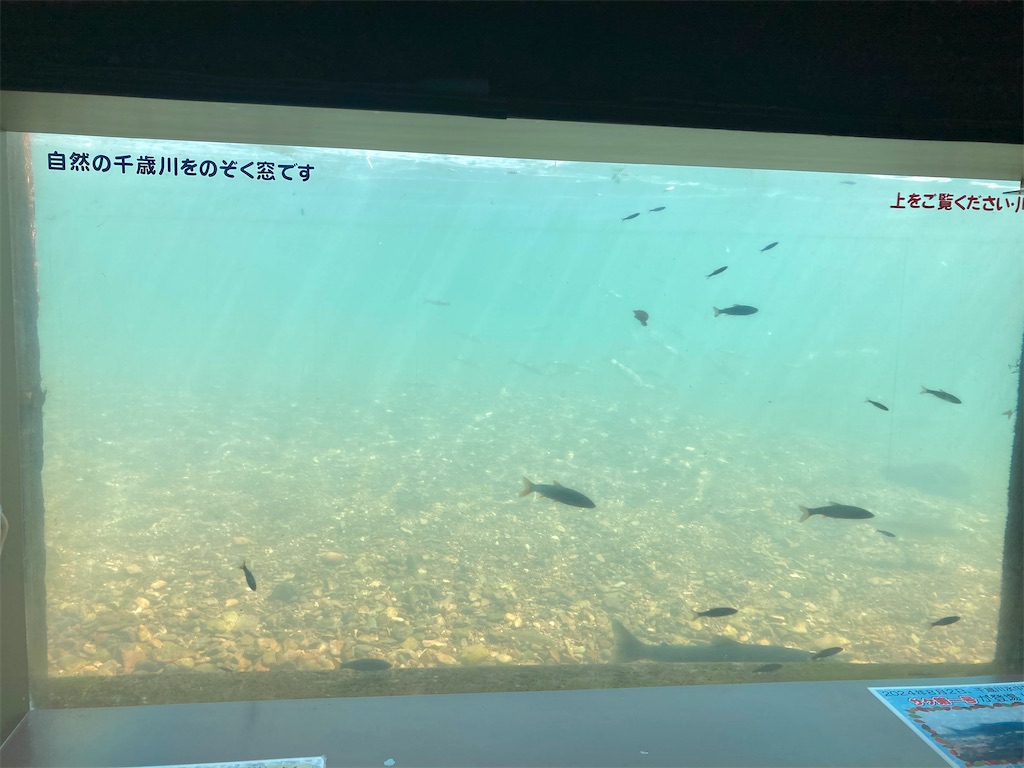 f:id:michiko_0609:20240824194243j:image
