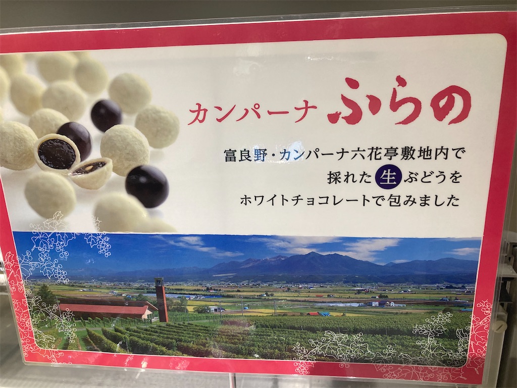 f:id:michiko_0609:20240824194746j:image