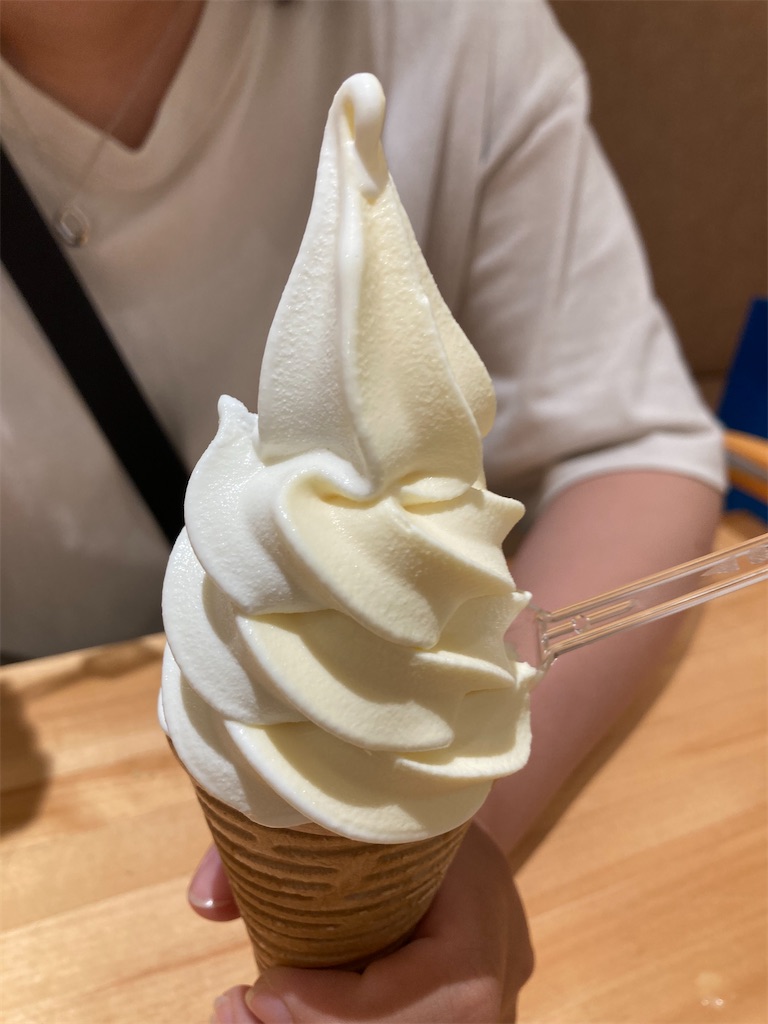 f:id:michiko_0609:20240825221143j:image