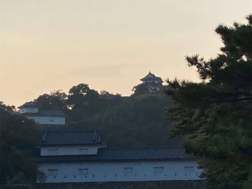 f:id:michiko_0609:20240908152526j:image