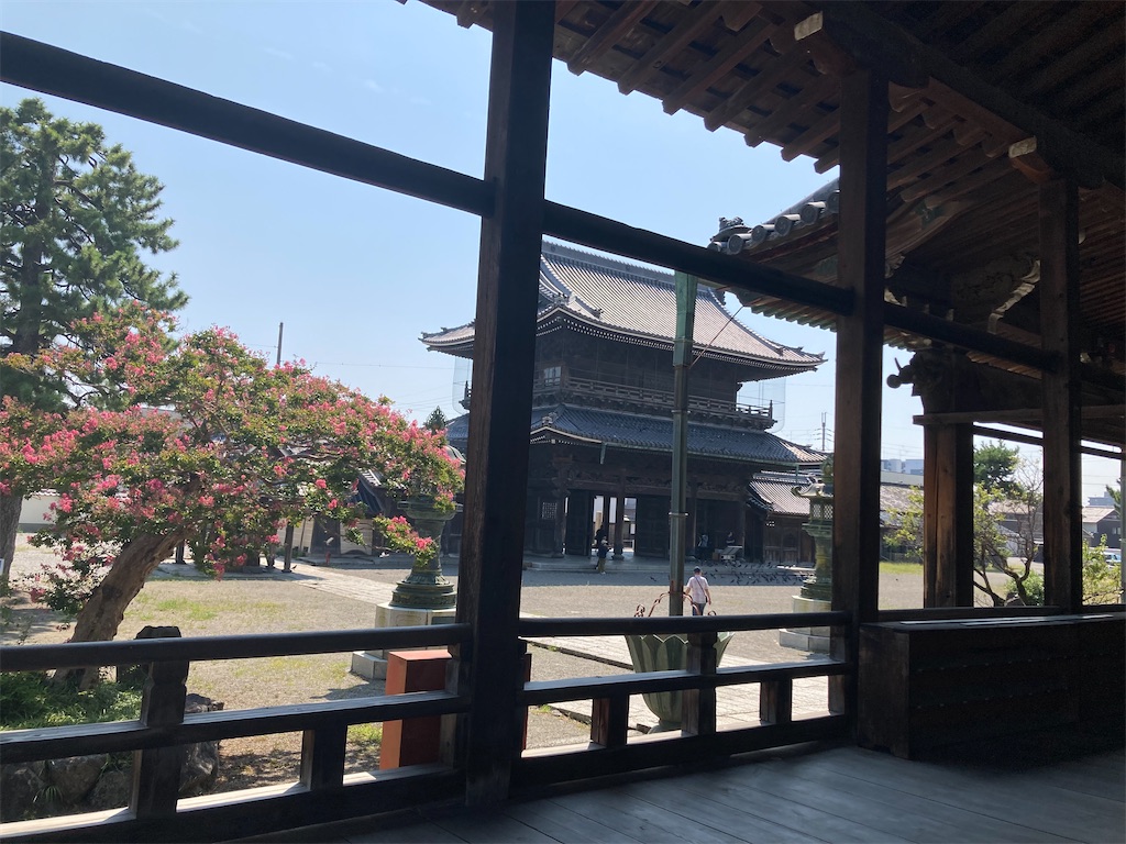 f:id:michiko_0609:20240908152556j:image