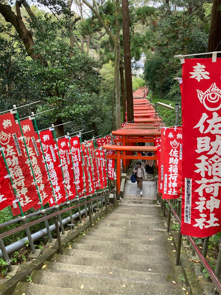 f:id:michiko_0609:20241127192322j:image