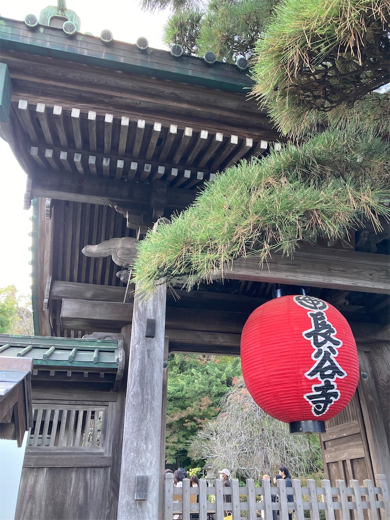f:id:michiko_0609:20241127192336j:image