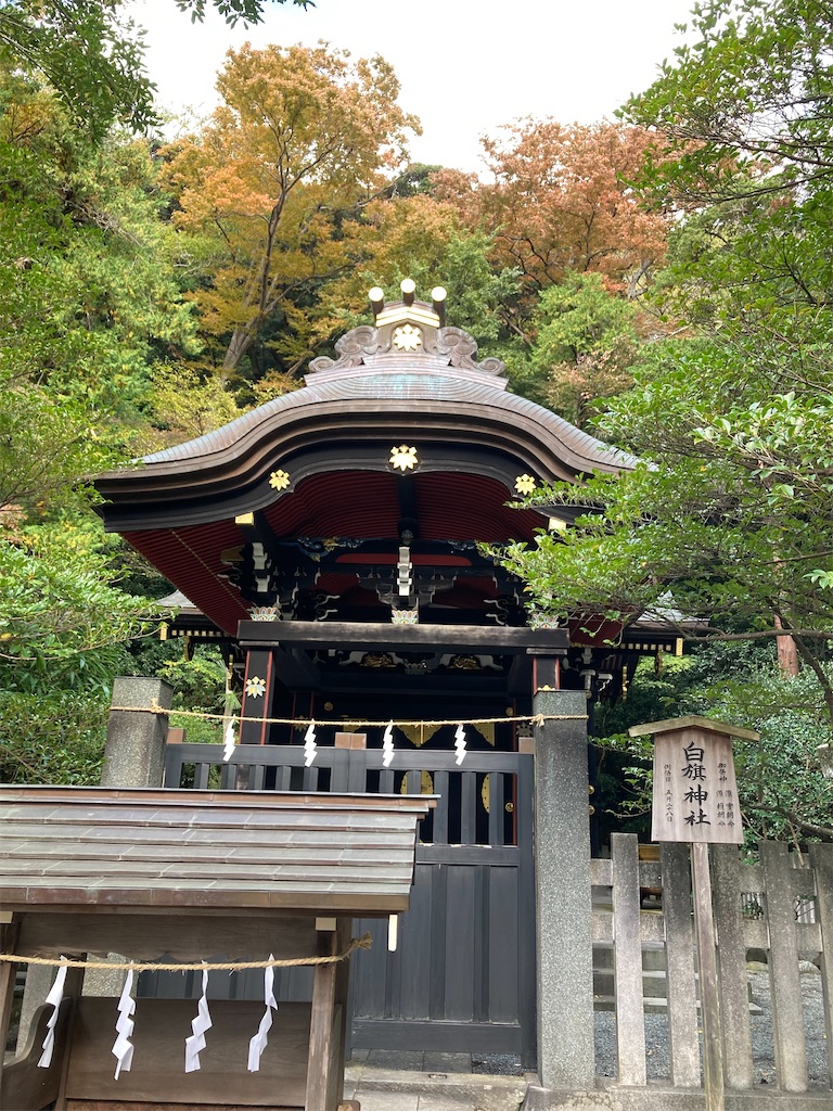 f:id:michiko_0609:20241127192418j:image