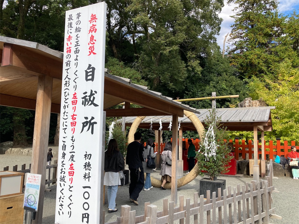 f:id:michiko_0609:20241127192435j:image