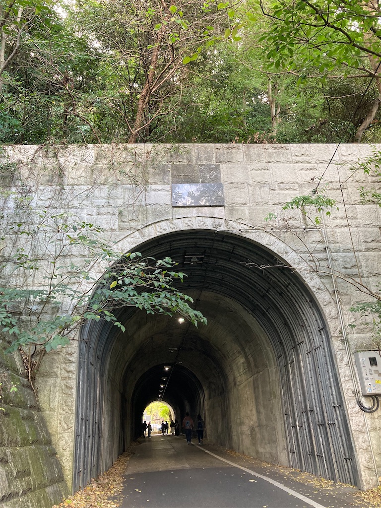 f:id:michiko_0609:20241127192509j:image