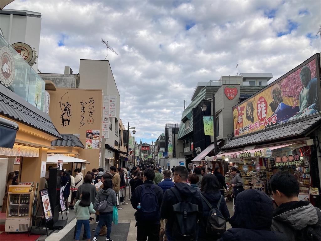 f:id:michiko_0609:20241127192557j:image