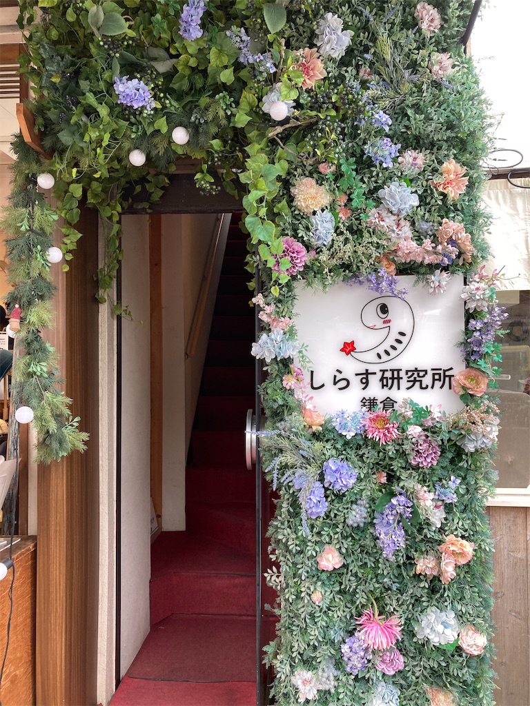 f:id:michiko_0609:20241127192600j:image