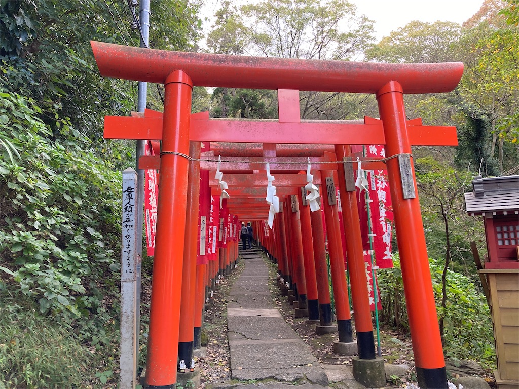 f:id:michiko_0609:20241127192658j:image