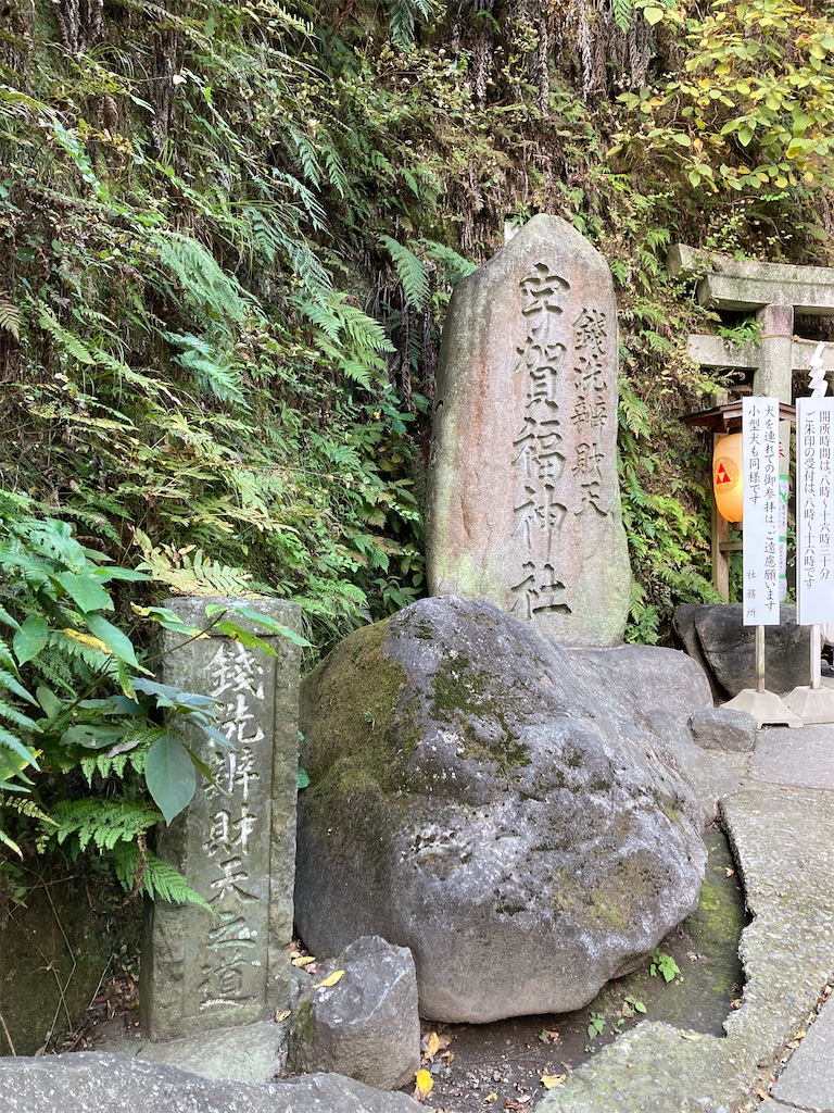 f:id:michiko_0609:20241127192814j:image