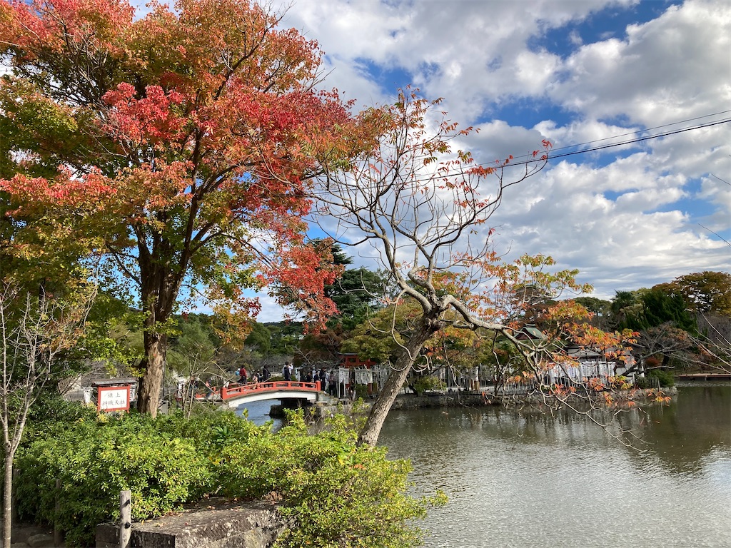 f:id:michiko_0609:20241127192938j:image