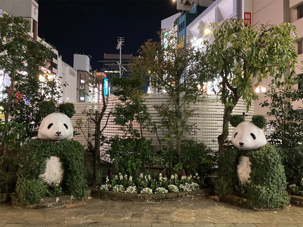 f:id:michiko_0609:20241129202943j:image