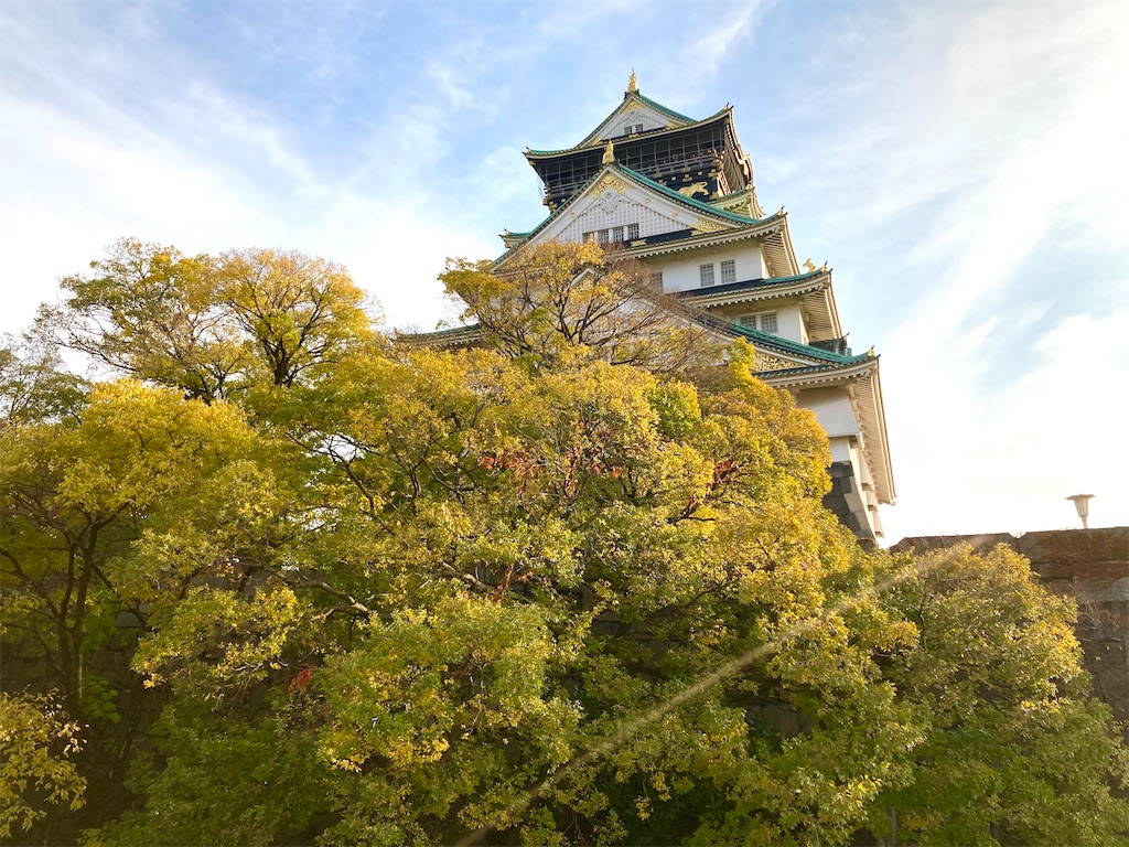 f:id:michiko_0609:20241203205532j:image