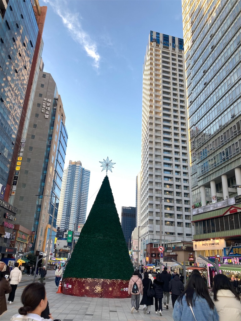 f:id:michiko_0609:20241218212116j:image