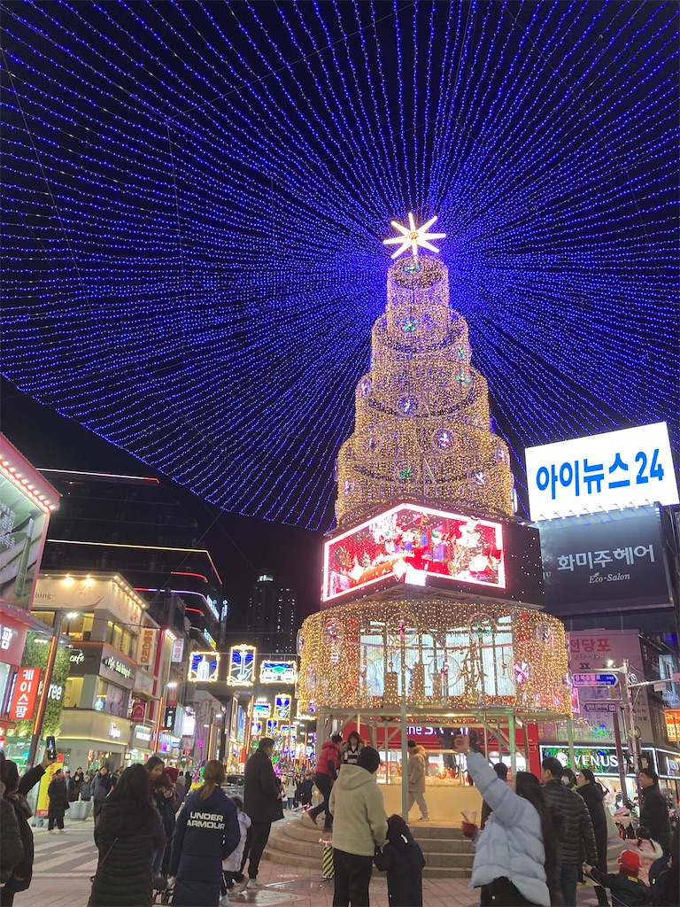 f:id:michiko_0609:20241218215558j:image
