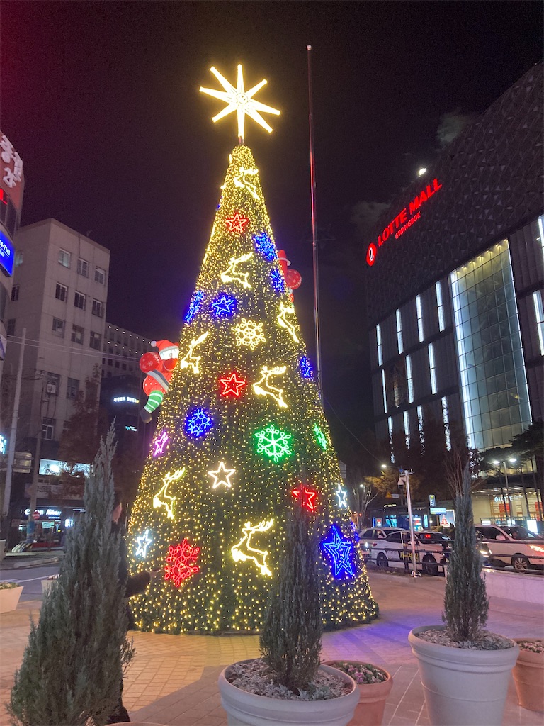 f:id:michiko_0609:20241218215821j:image