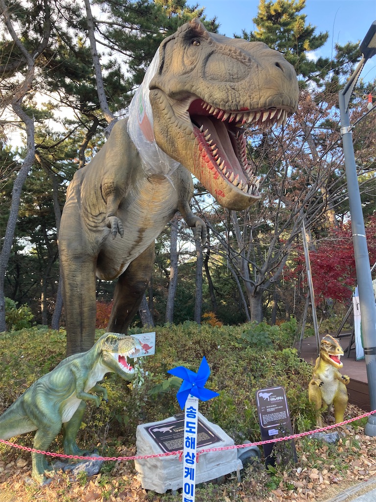 f:id:michiko_0609:20241218215836j:image