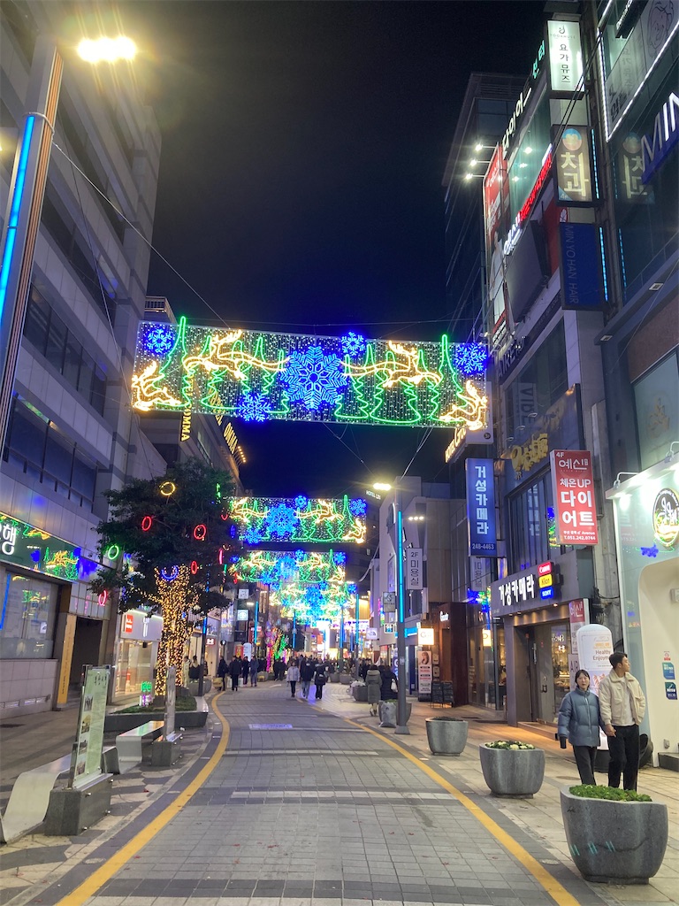 f:id:michiko_0609:20241218220003j:image