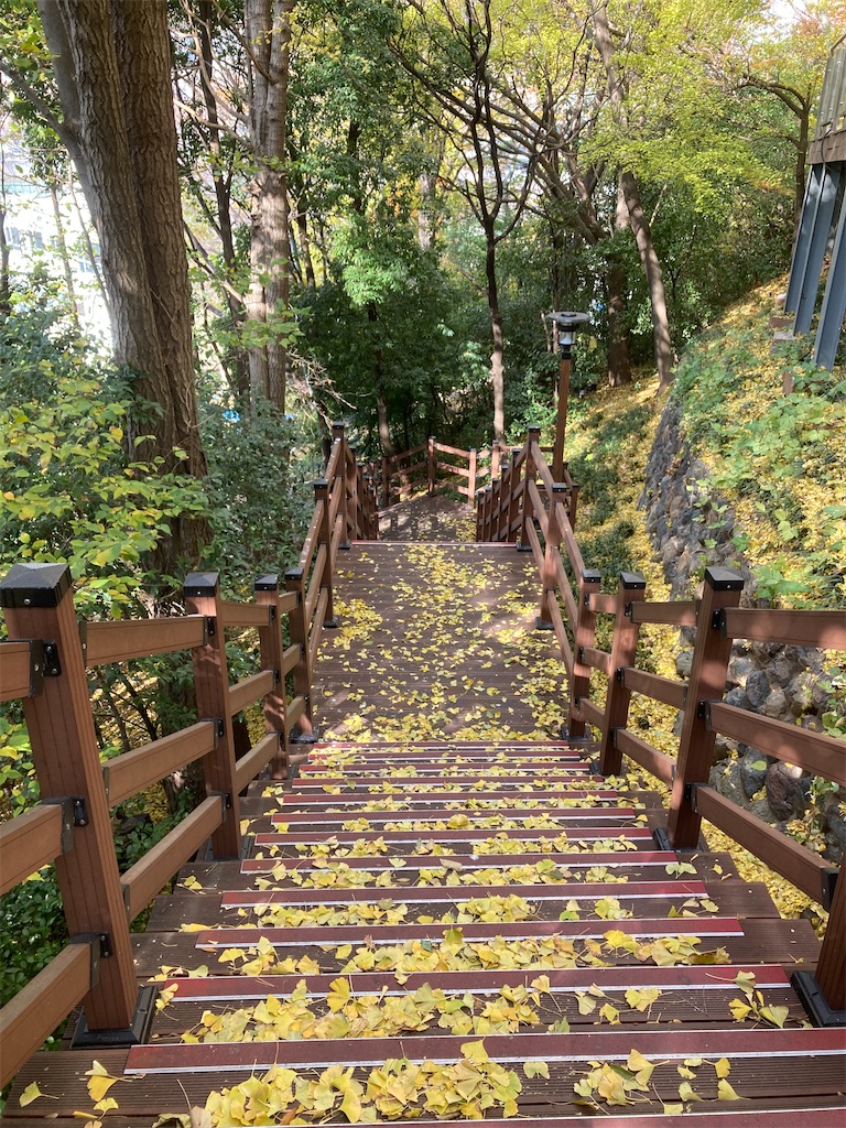 f:id:michiko_0609:20241218220251j:image