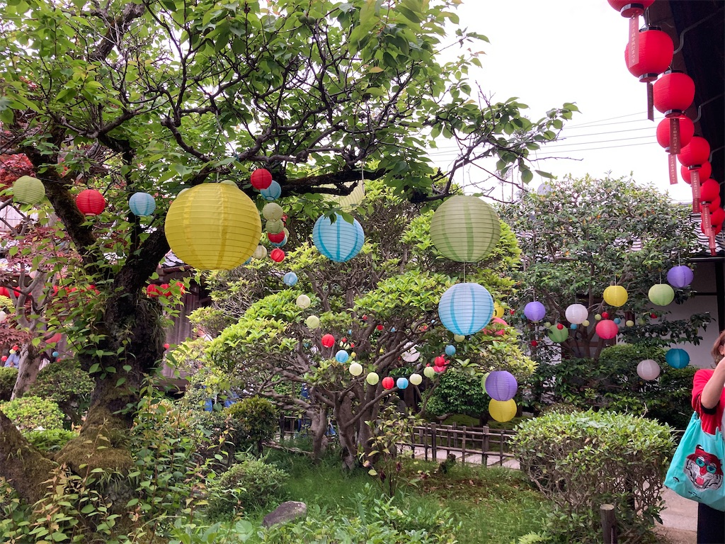 f:id:michiko_0609:20241228194723j:image