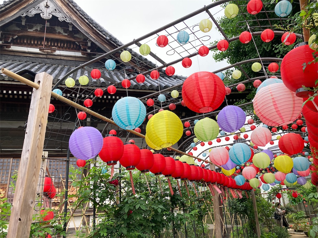 f:id:michiko_0609:20241228194728j:image