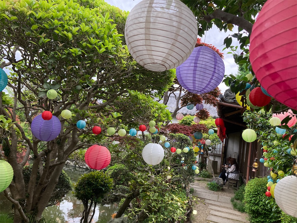f:id:michiko_0609:20241228194742j:image