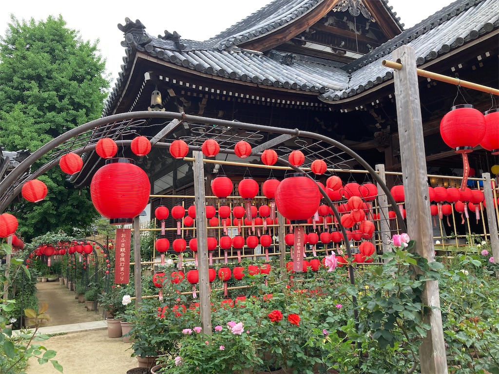 f:id:michiko_0609:20241228194800j:image