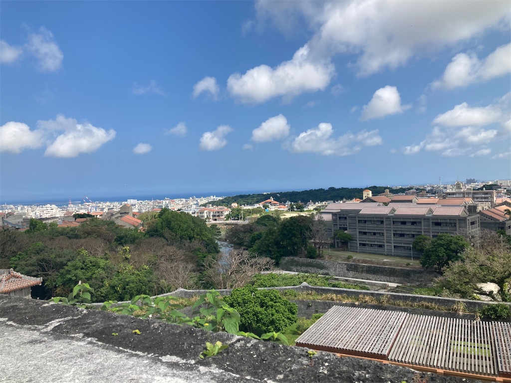 f:id:michiko_0609:20241229175005j:image