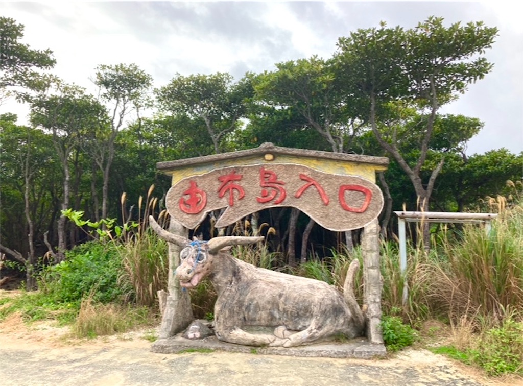 f:id:michiko_0609:20250102094616j:image