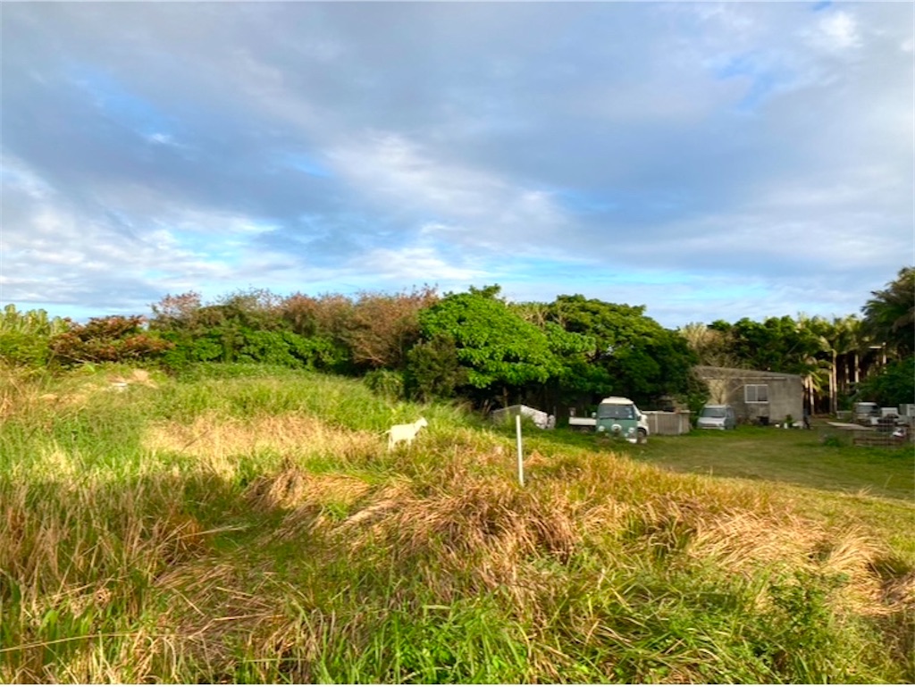 f:id:michiko_0609:20250102180756j:image