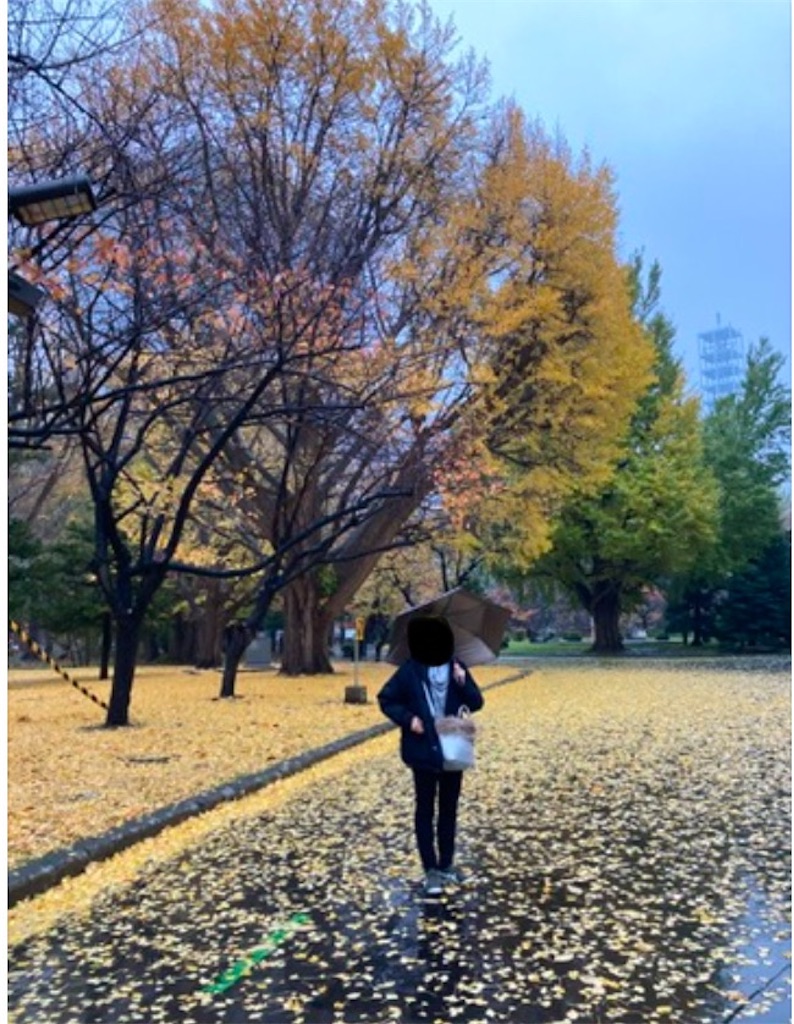 f:id:michiko_0609:20250103073331j:image