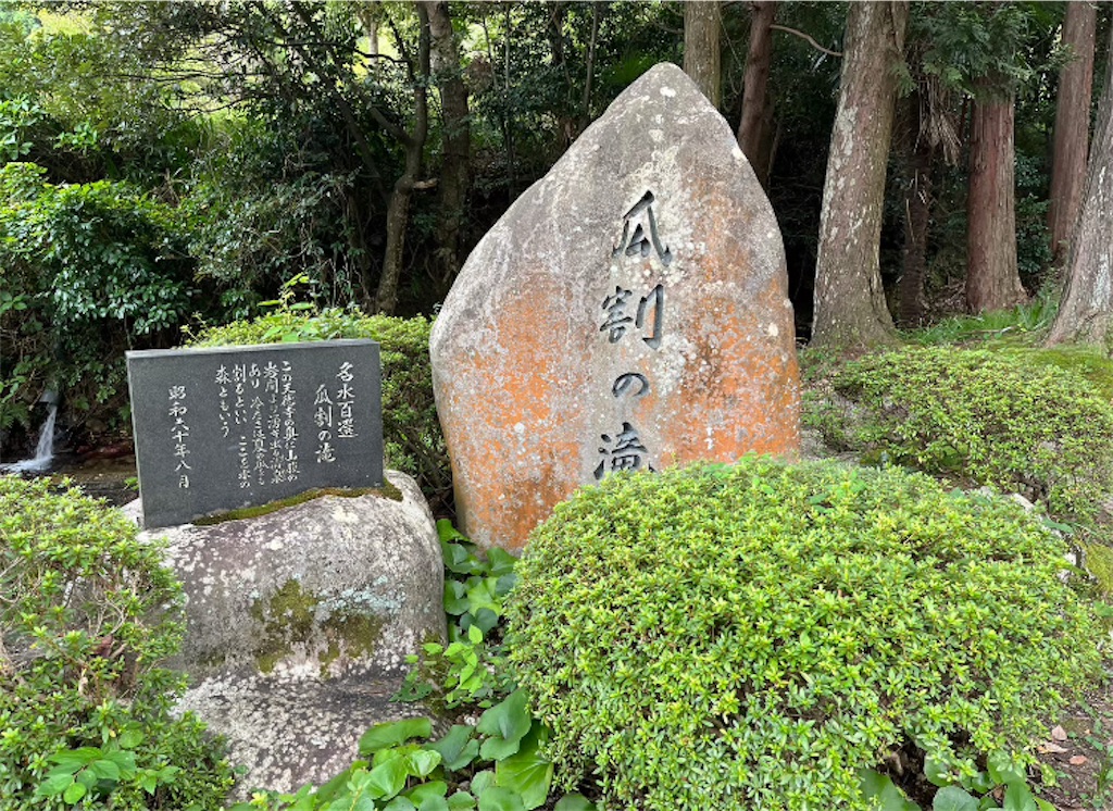 f:id:michiko_0609:20250105084101j:image