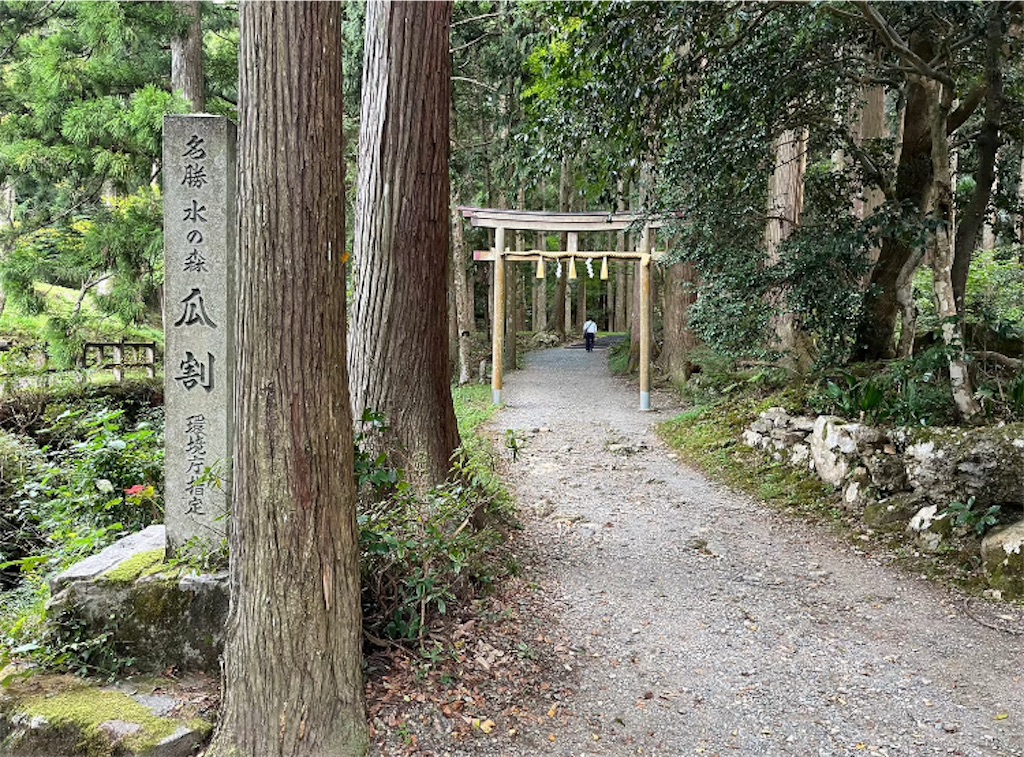 f:id:michiko_0609:20250105084105j:image