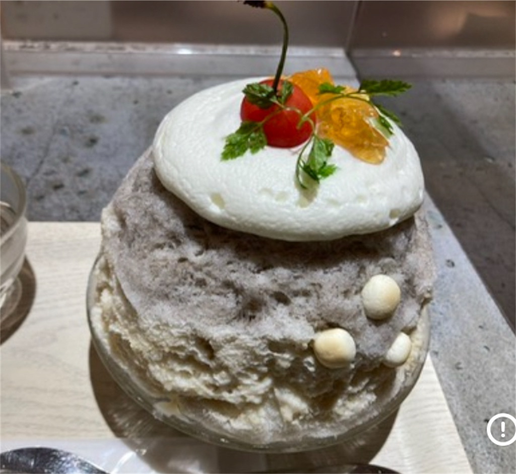 f:id:michiko_0609:20250107212529j:image