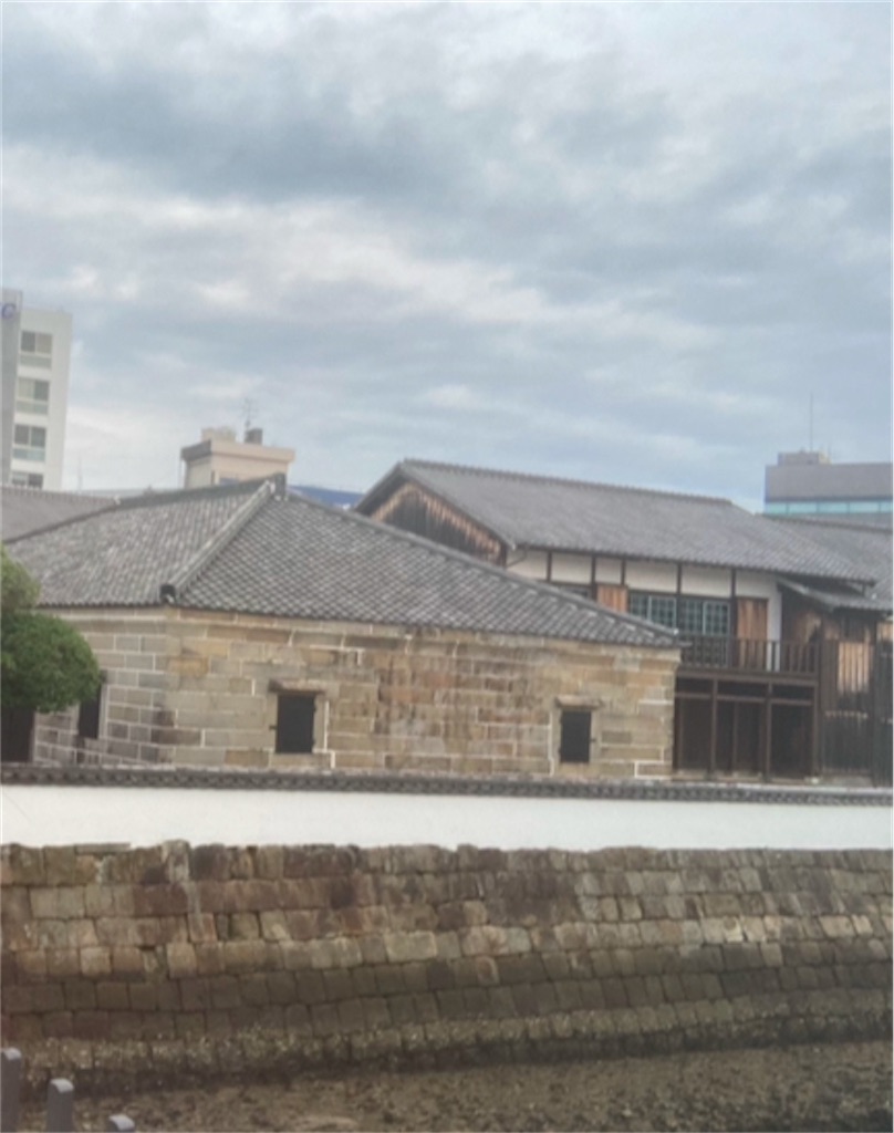 f:id:michiko_0609:20250109213740j:image