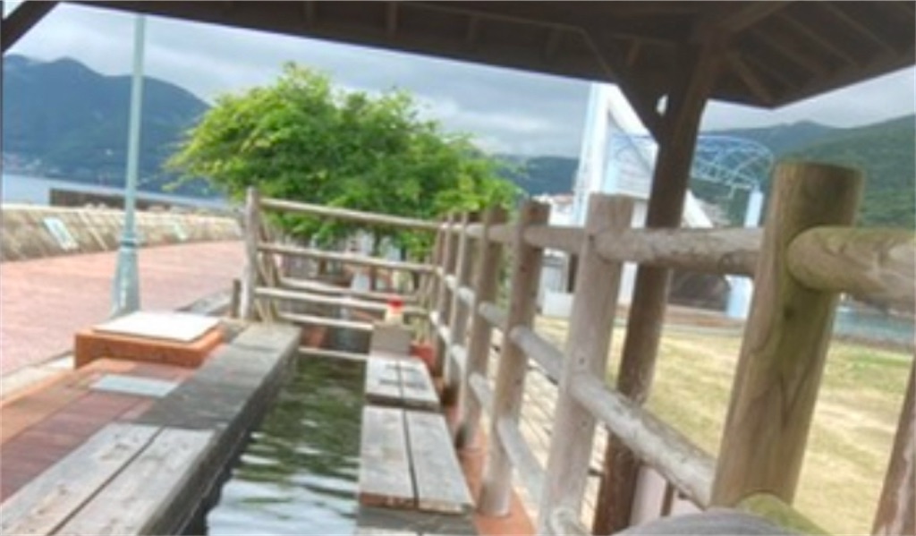 f:id:michiko_0609:20250113092704j:image