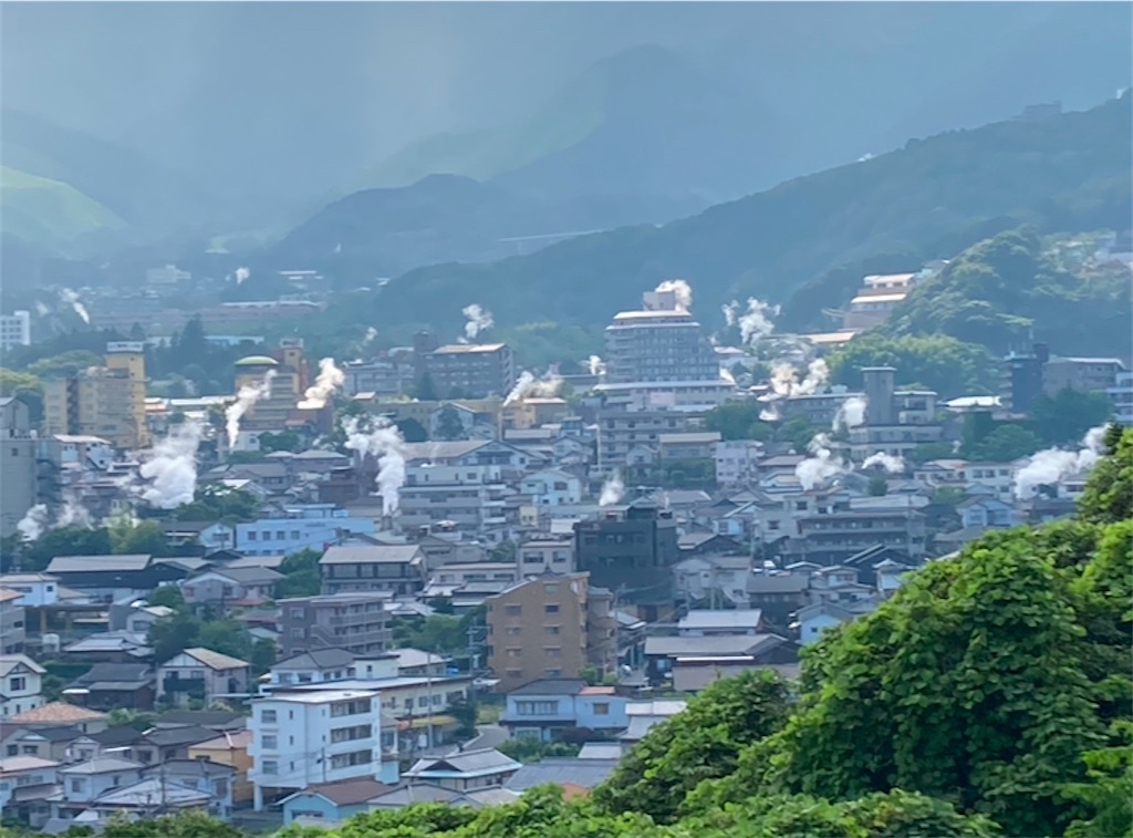 f:id:michiko_0609:20250113173133j:image