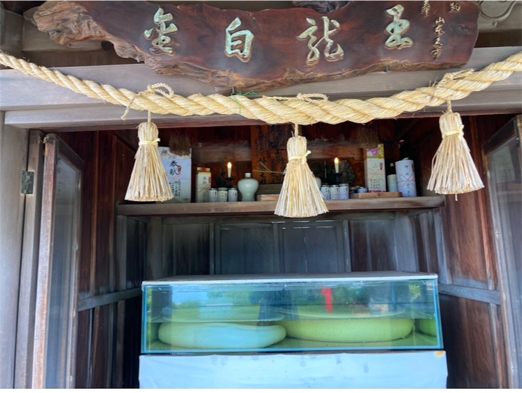 f:id:michiko_0609:20250113173214j:image