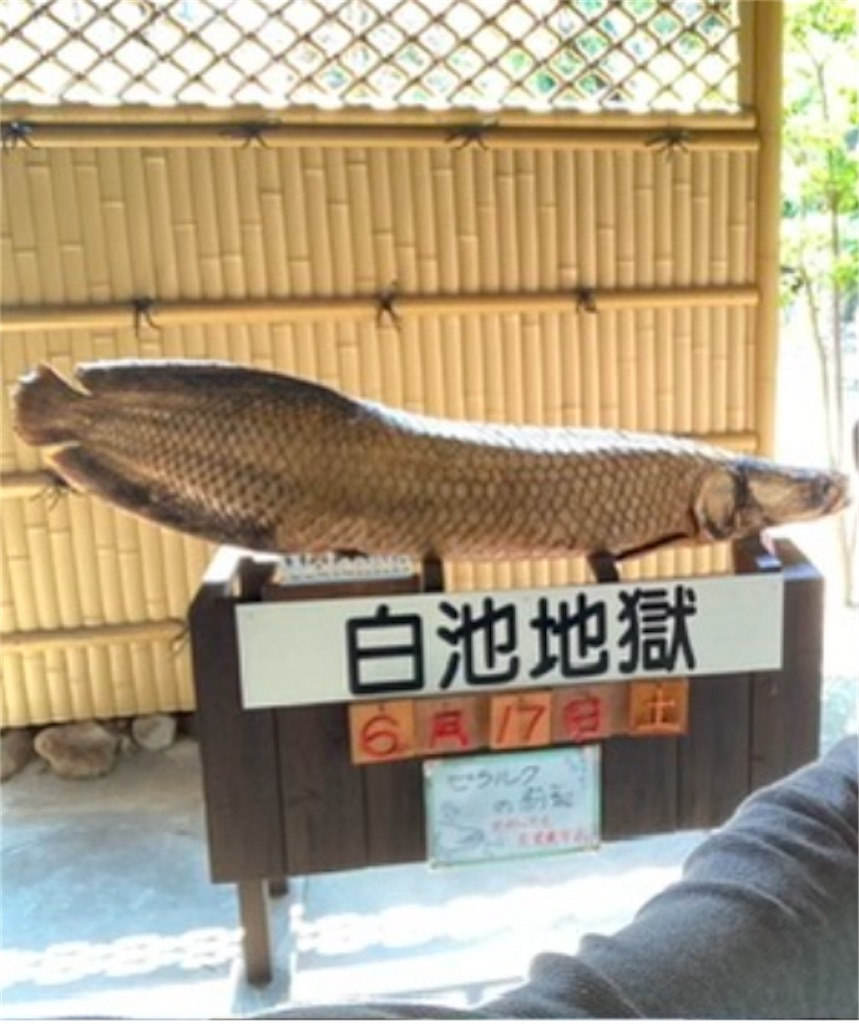 f:id:michiko_0609:20250113182544j:image