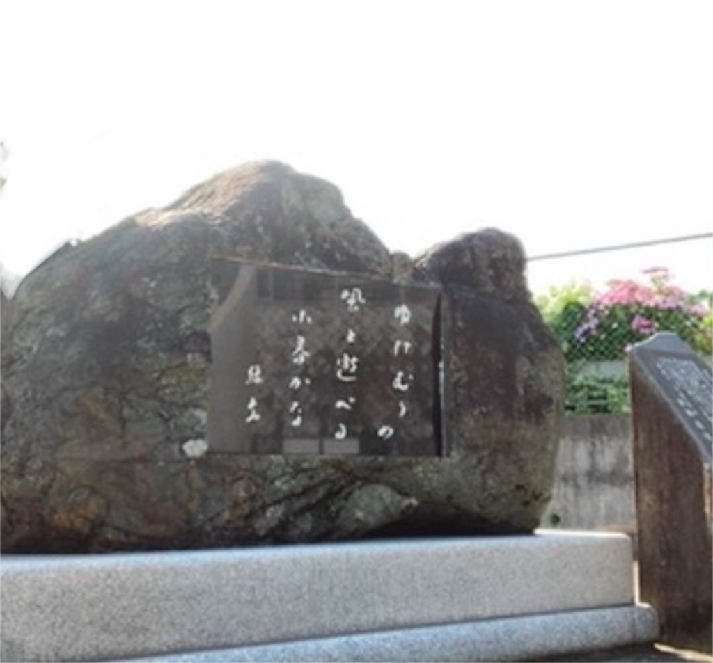 f:id:michiko_0609:20250113191124j:image