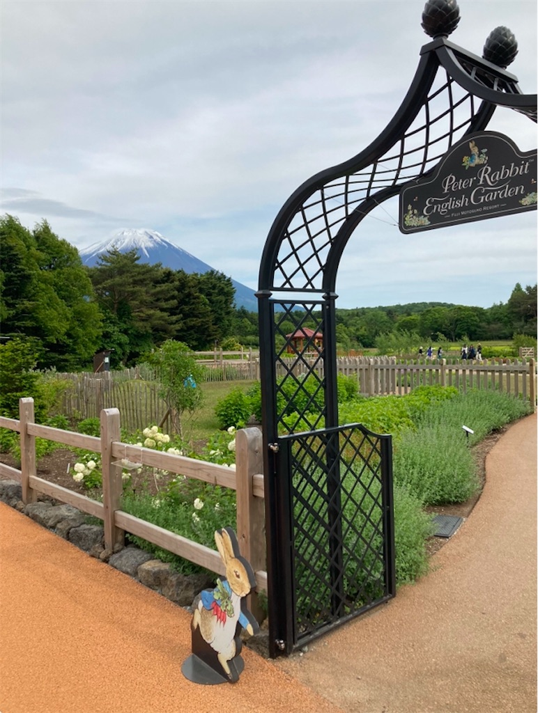 f:id:michiko_0609:20250118074221j:image