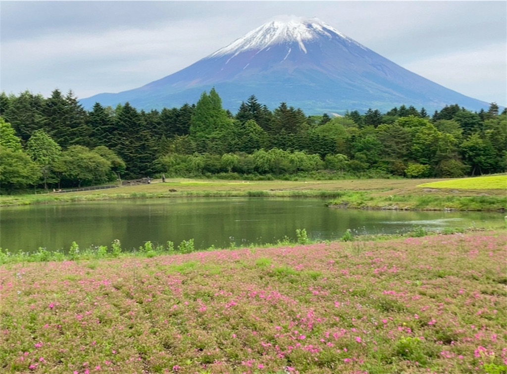 f:id:michiko_0609:20250118074230j:image