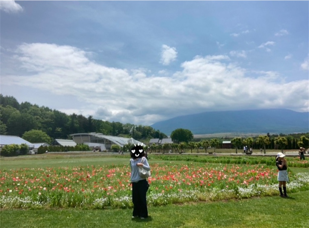 f:id:michiko_0609:20250118074711j:image