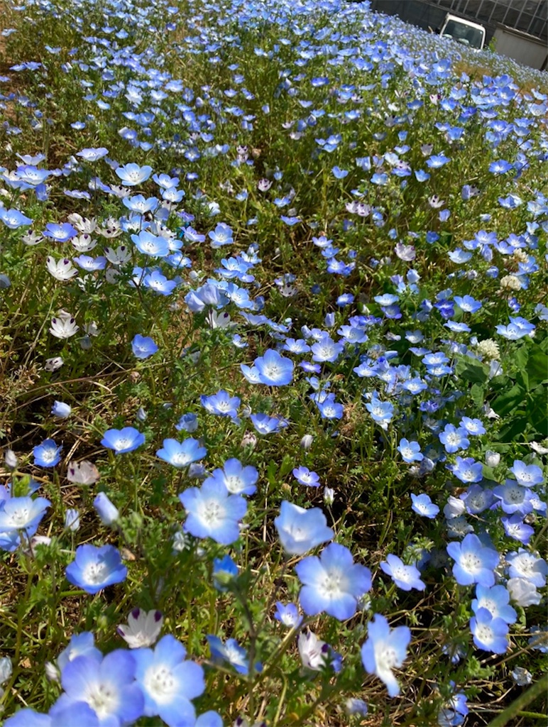 f:id:michiko_0609:20250118074720j:image