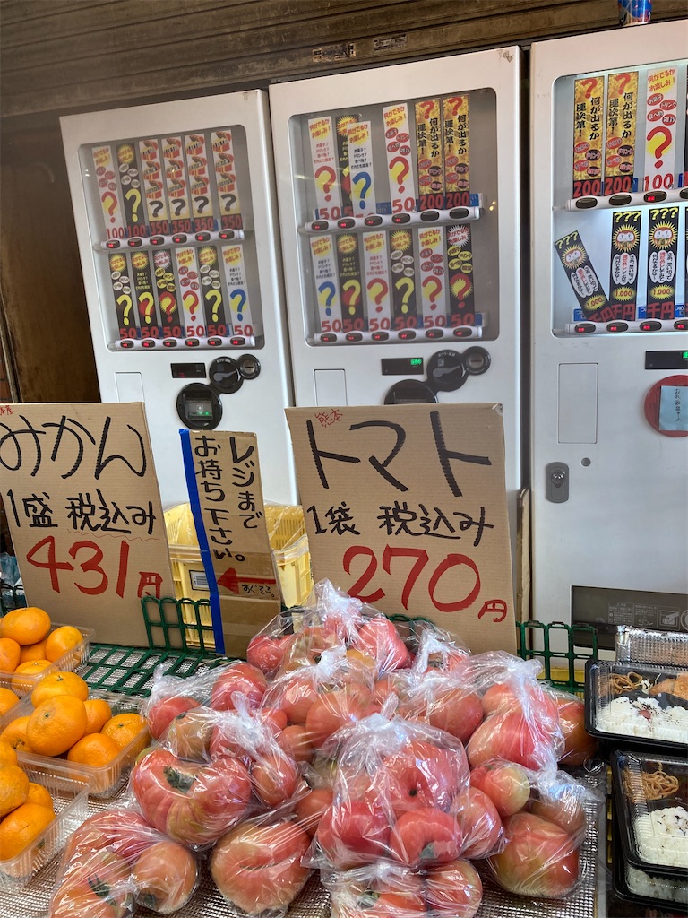 f:id:michiko_0609:20250118175915j:image