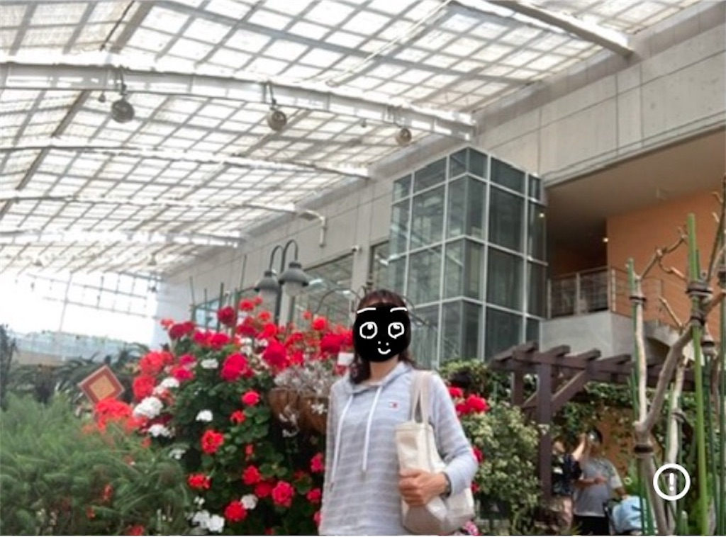 f:id:michiko_0609:20250119175804j:image