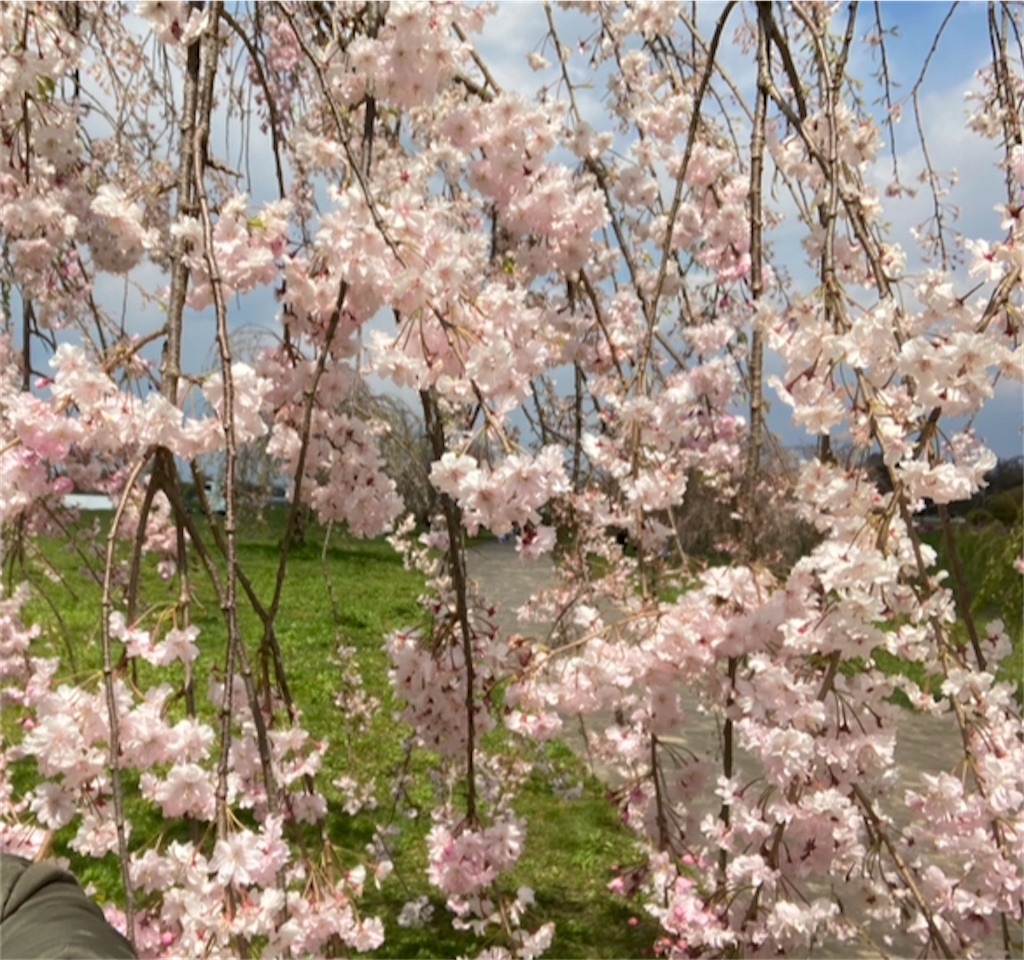 f:id:michiko_0609:20250124201526j:image