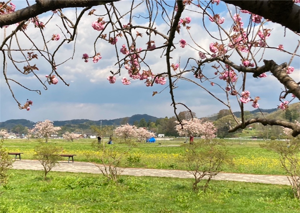 f:id:michiko_0609:20250124201545j:image